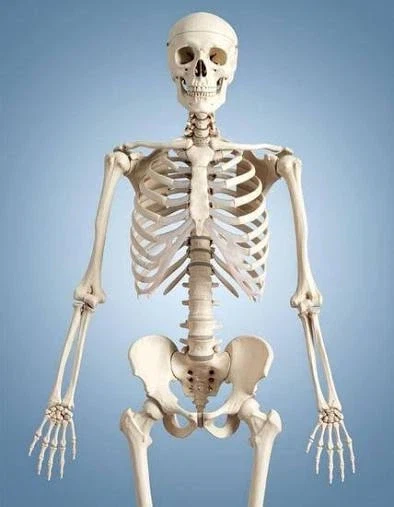 솔직히 나는 인종차별이 이해가 안가는게.._1.webp