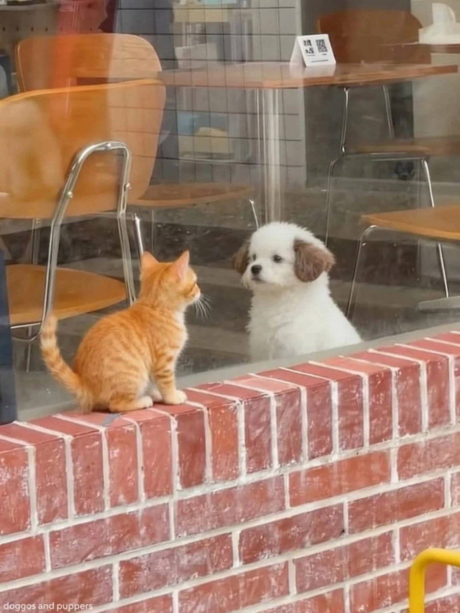 우리 사이엔 보이지 않는 벽이 있어..._1.webp