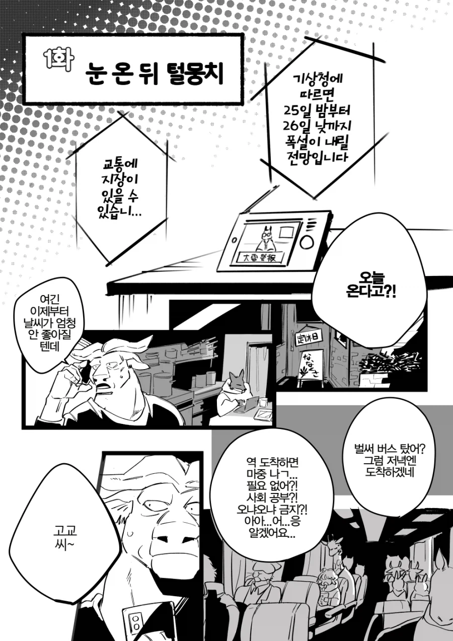 눈 온 뒤 털뭉치_2.webp