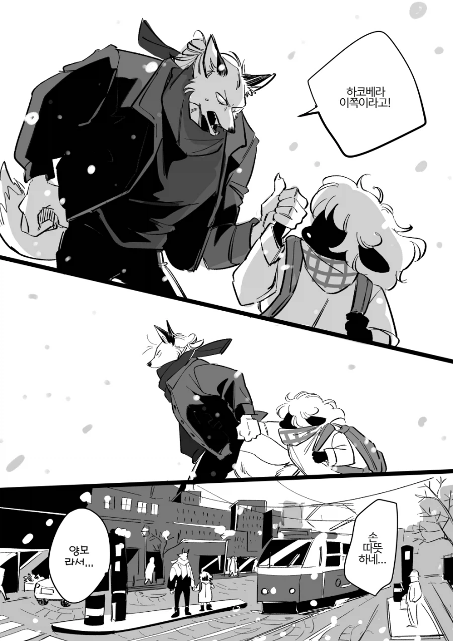 눈 온 뒤 털뭉치_14.webp