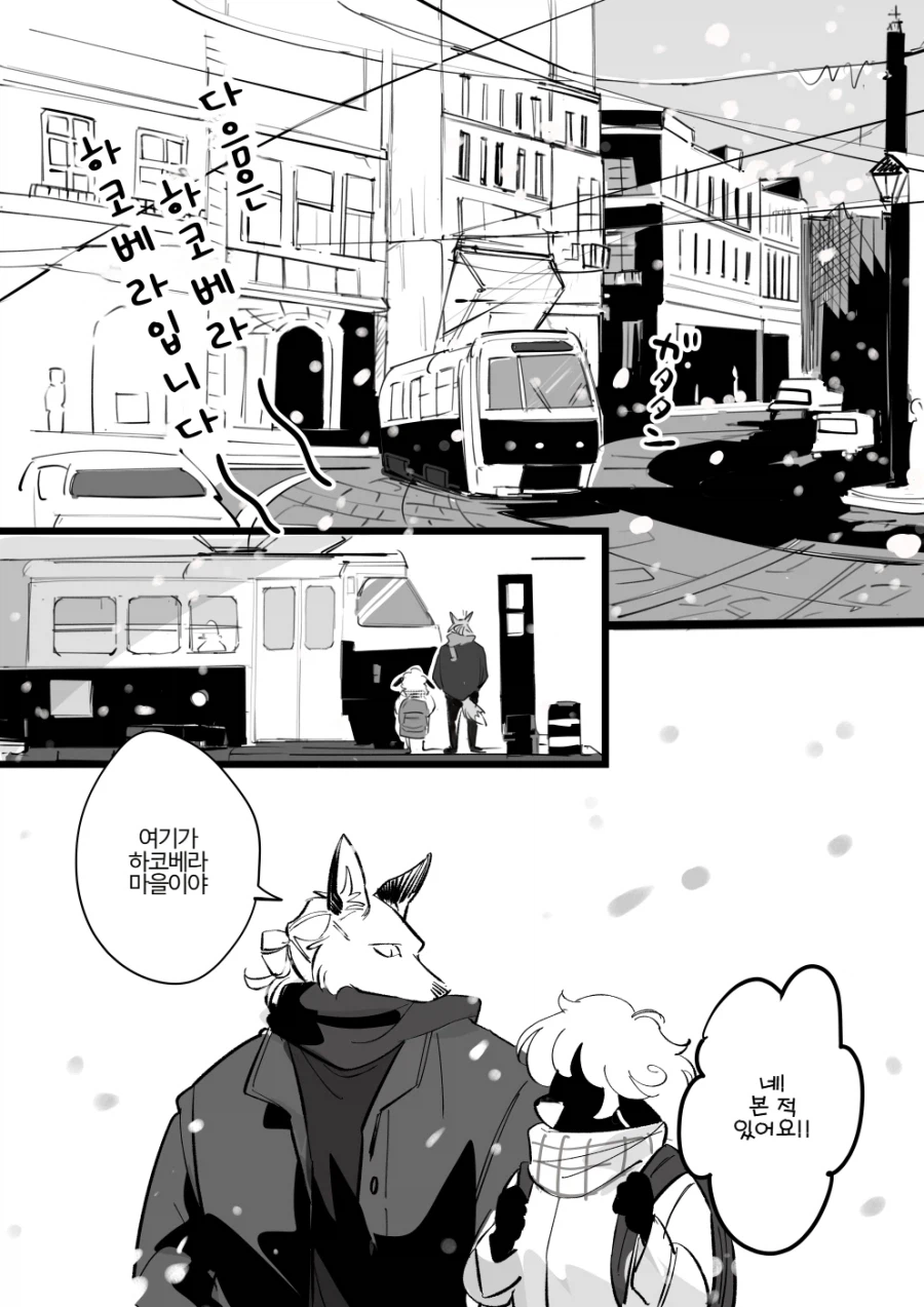 눈 온 뒤 털뭉치_17.webp