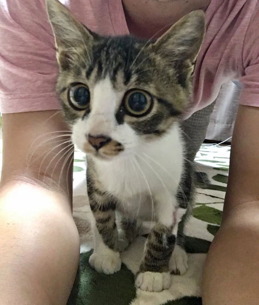 단1년 동안의 확대.jpg_1.webp