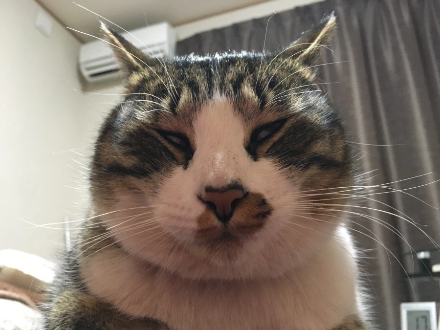 단1년 동안의 확대.jpg_2.webp