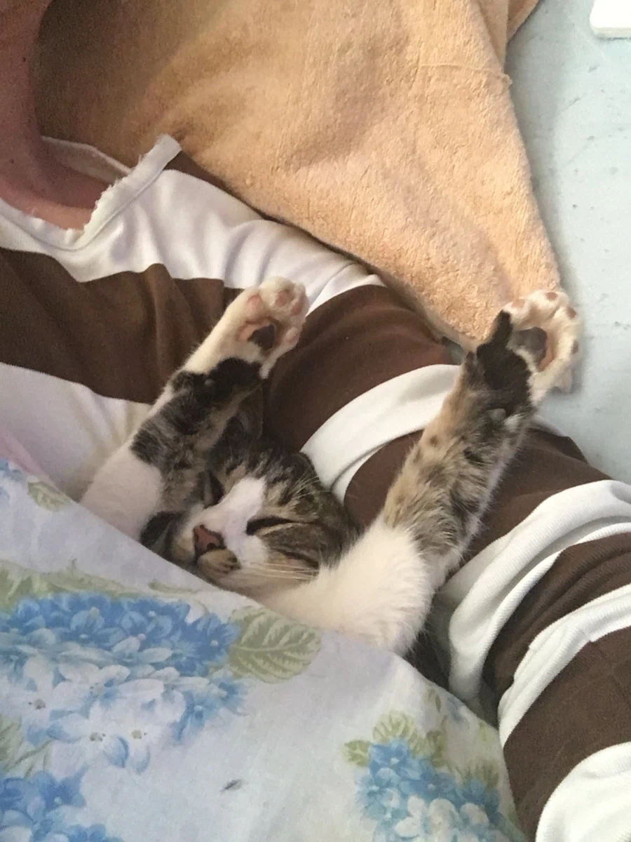 단1년 동안의 확대.jpg_4.webp