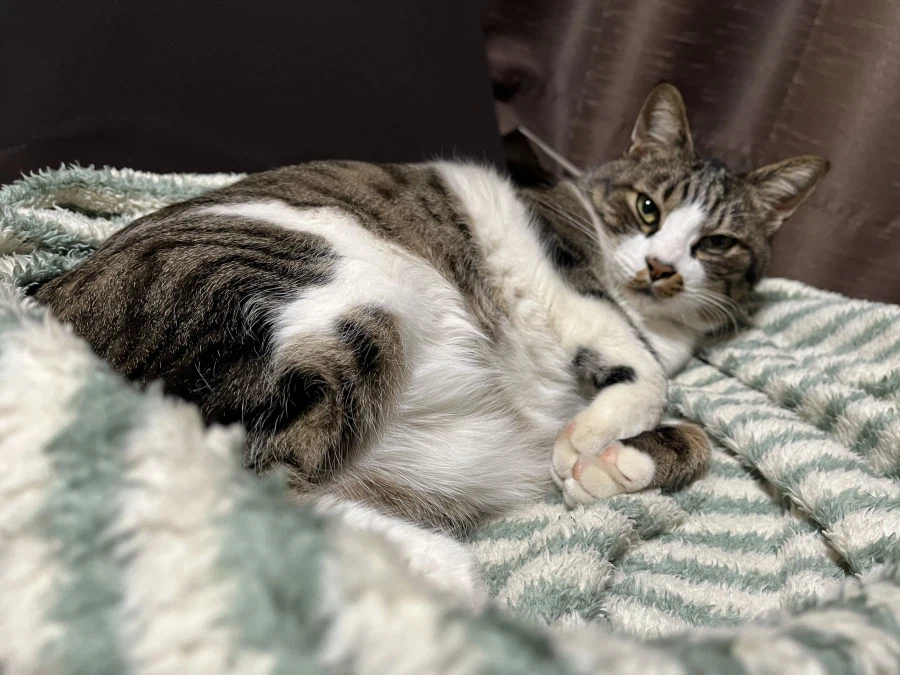 단1년 동안의 확대.jpg_5.webp