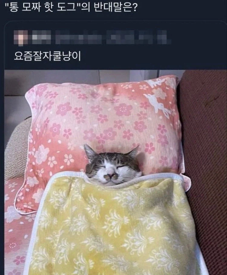 통모짜 핫도그_1.webp