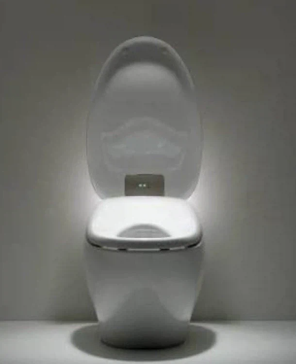 MSG와 변기가 AI 시대를 견인하고 있음_2.webp