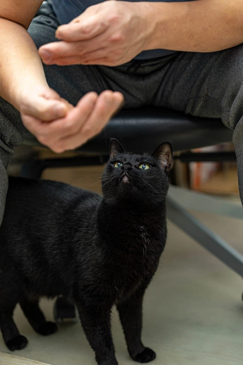 아... 퇴근하고 싶다...._1.webp