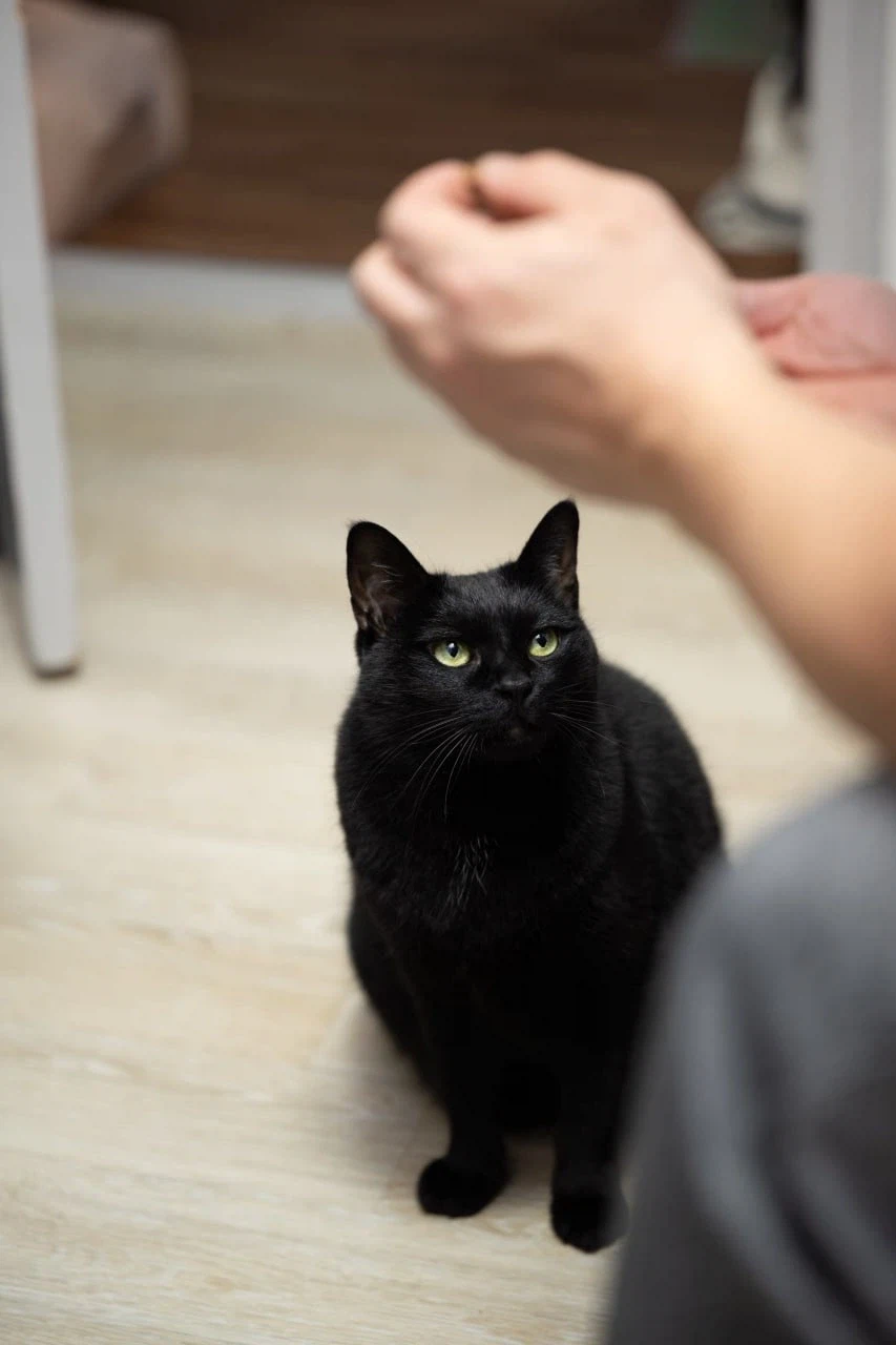 아... 퇴근하고 싶다...._2.webp