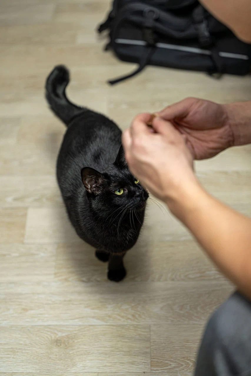 아... 퇴근하고 싶다...._3.webp