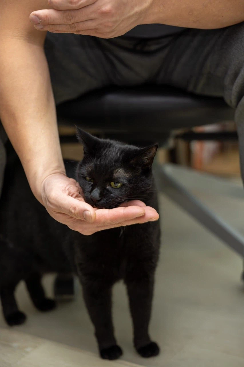 아... 퇴근하고 싶다...._4.webp