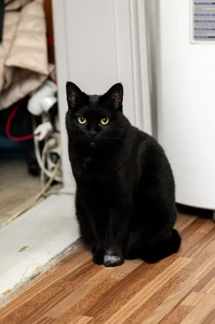 아... 퇴근하고 싶다...._5.webp