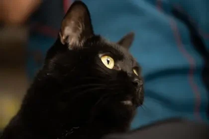 아... 퇴근하고 싶다...._6.webp