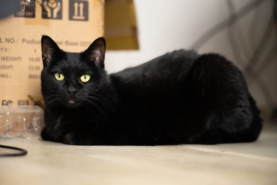 아... 퇴근하고 싶다...._7.webp