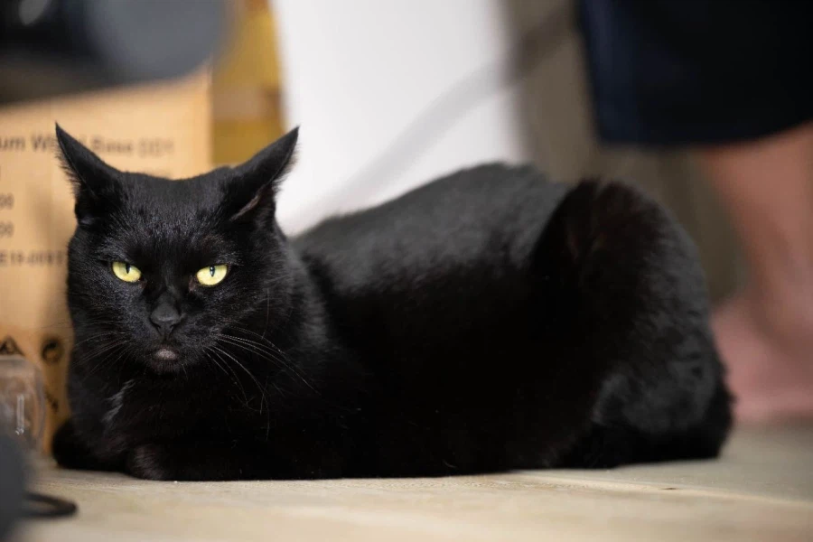 아... 퇴근하고 싶다...._8.webp