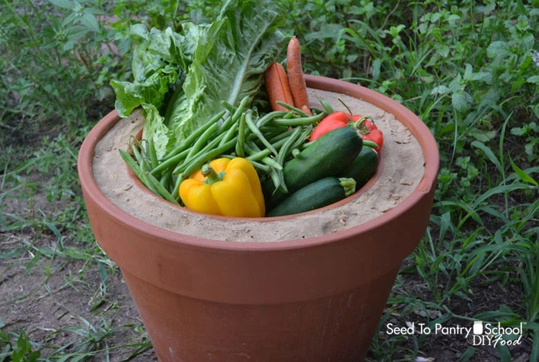 아프리카판 김치냉장고_3.webp