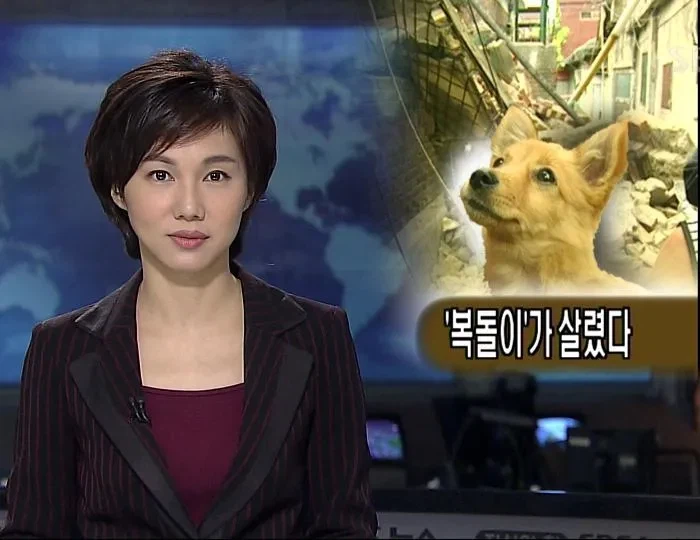 의외로 한국 PC게임 패키지시장이 망했던 이유.JPG_1.webp