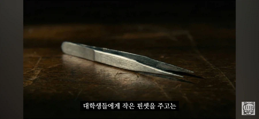 귀여움이 업무효율을 끌어올린다_4.webp