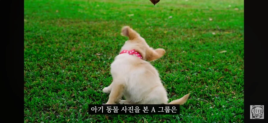 귀여움이 업무효율을 끌어올린다_13.webp