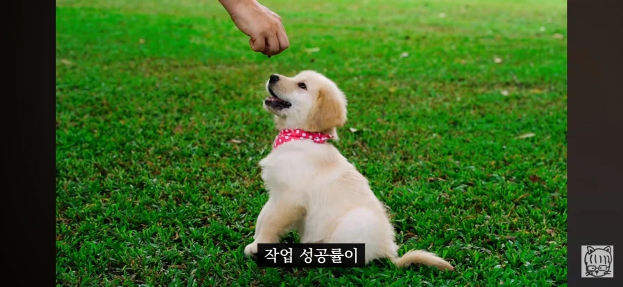 귀여움이 업무효율을 끌어올린다_14.webp