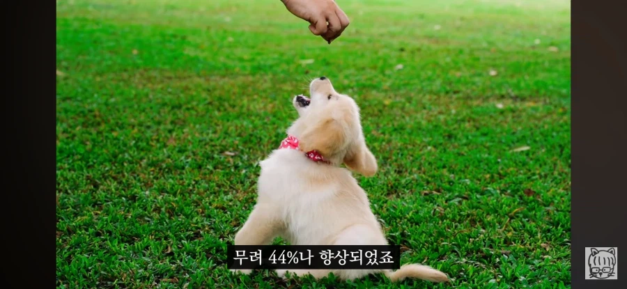 귀여움이 업무효율을 끌어올린다_15.webp