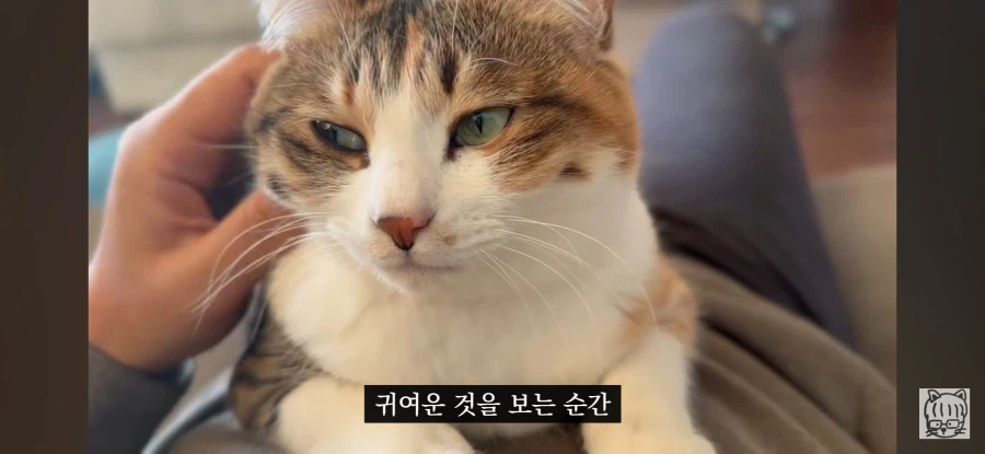 귀여움이 업무효율을 끌어올린다_22.webp