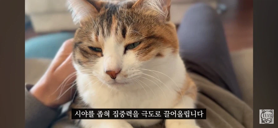 귀여움이 업무효율을 끌어올린다_23.webp