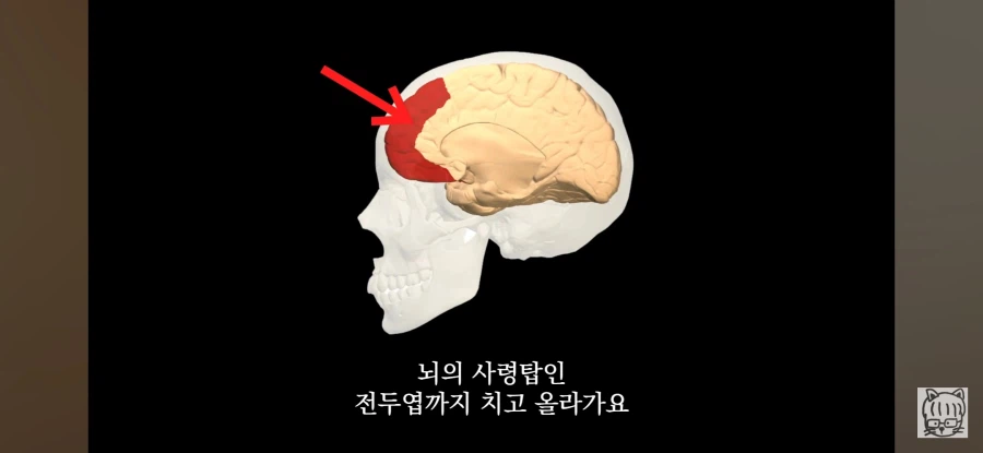 귀여움이 업무효율을 끌어올린다_27.webp