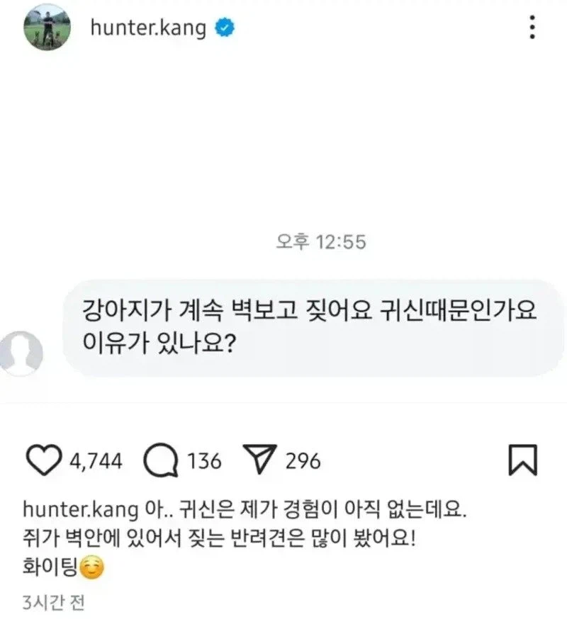 벽 보고 짖는 반려견이 무서운 이유_1.webp