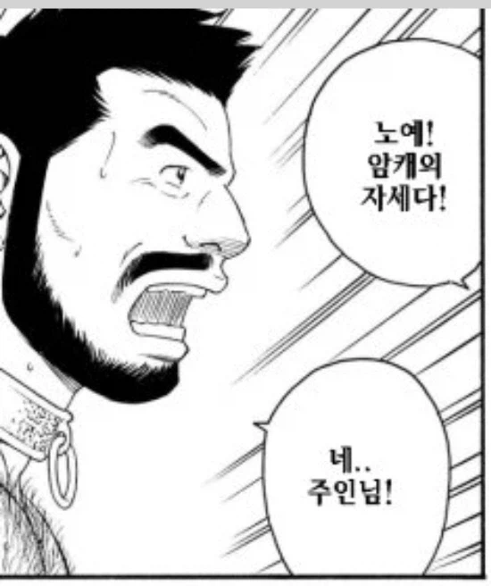 의외로 이세계물 잘 그리는 작가_4.webp