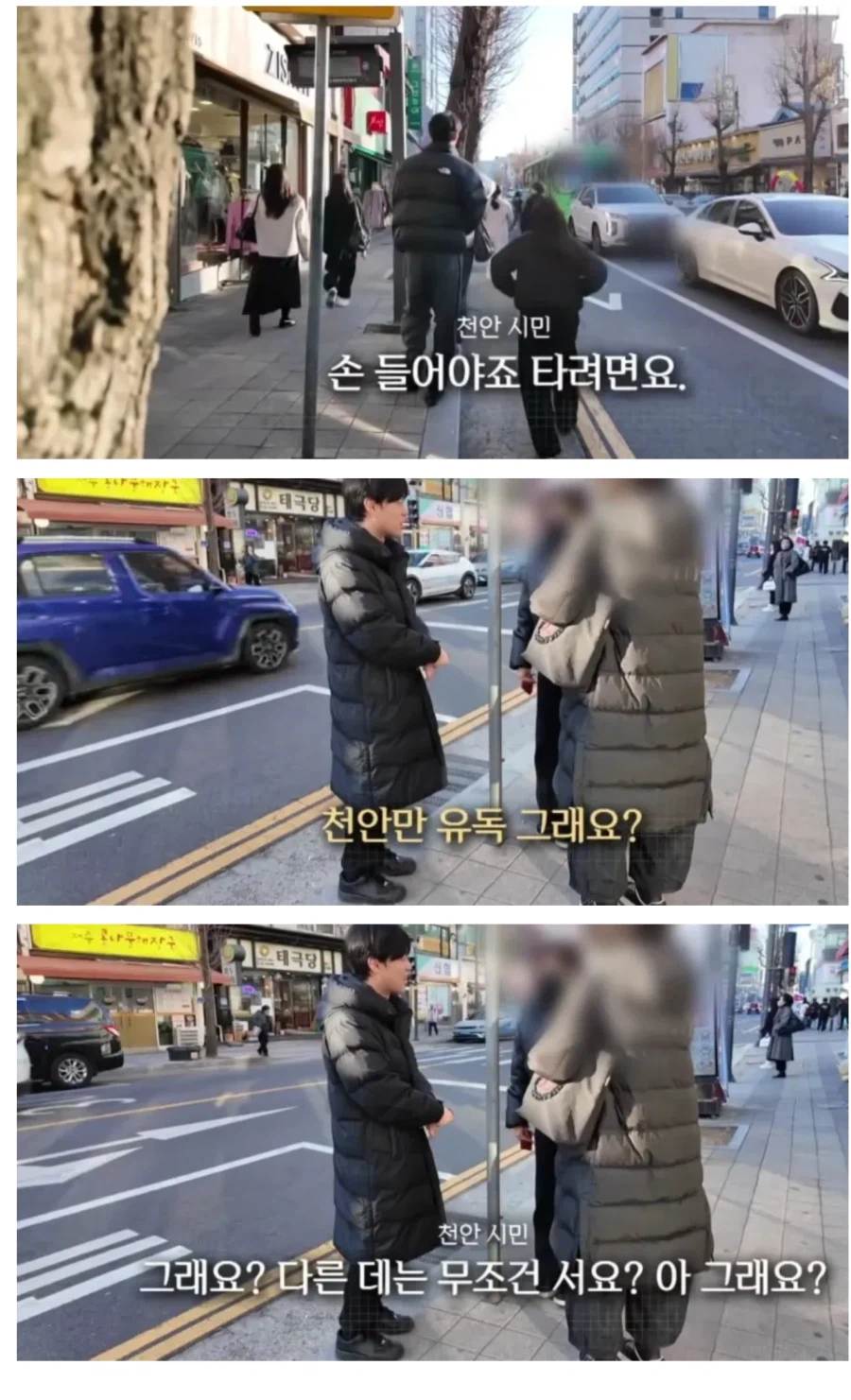 야생의 천안 시내버스.jpg_1.webp