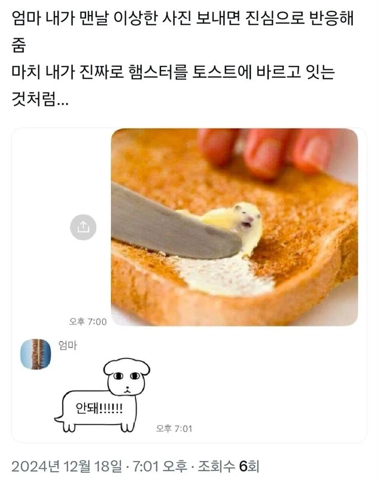 이상한 사진에도 진심으로 반응해주는 엄마.jpg_1.webp