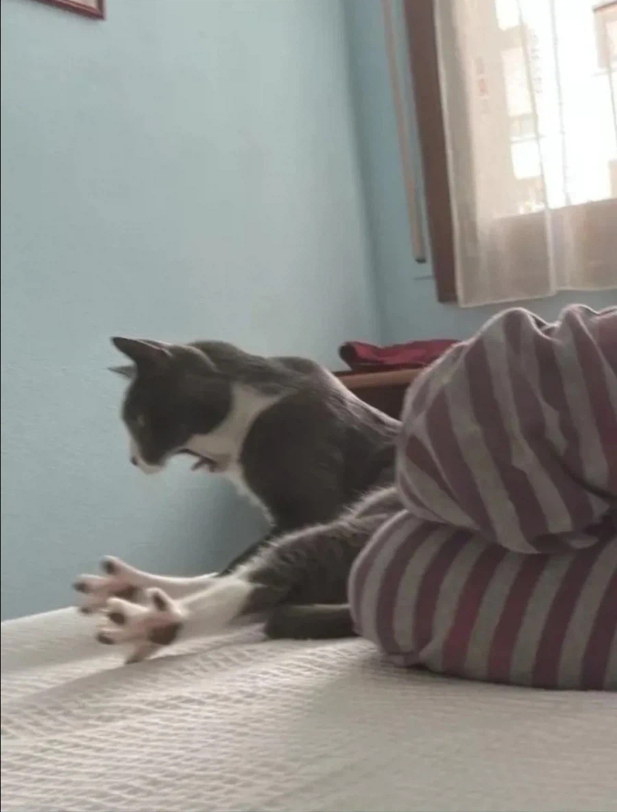 언제부터 땅콩이 있었다고 생각한 것이지?_1.webp