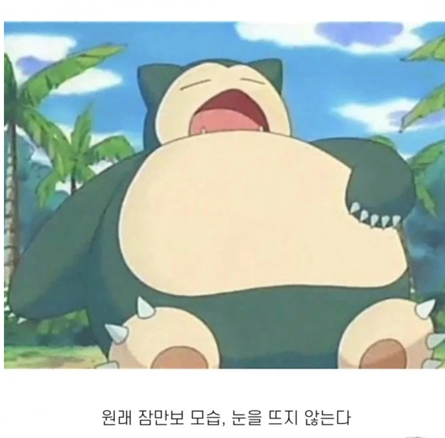 20년만에 눈을 뜬 잠만보 ㄷㄷㄷㄷㄷㄷ_1.webp