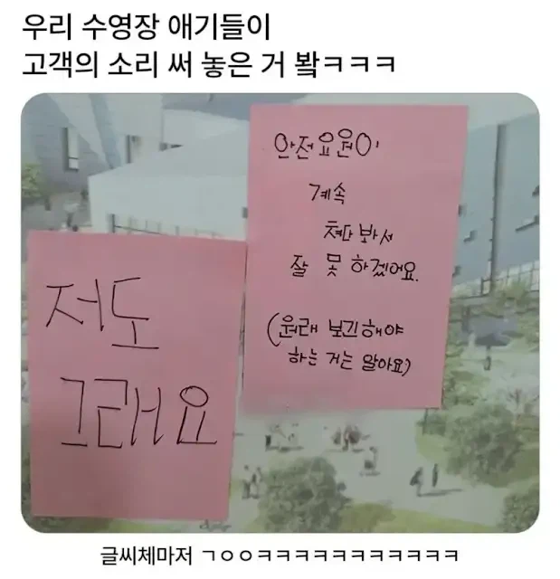 수영장 애기들의 건의사항.jpg_1.webp