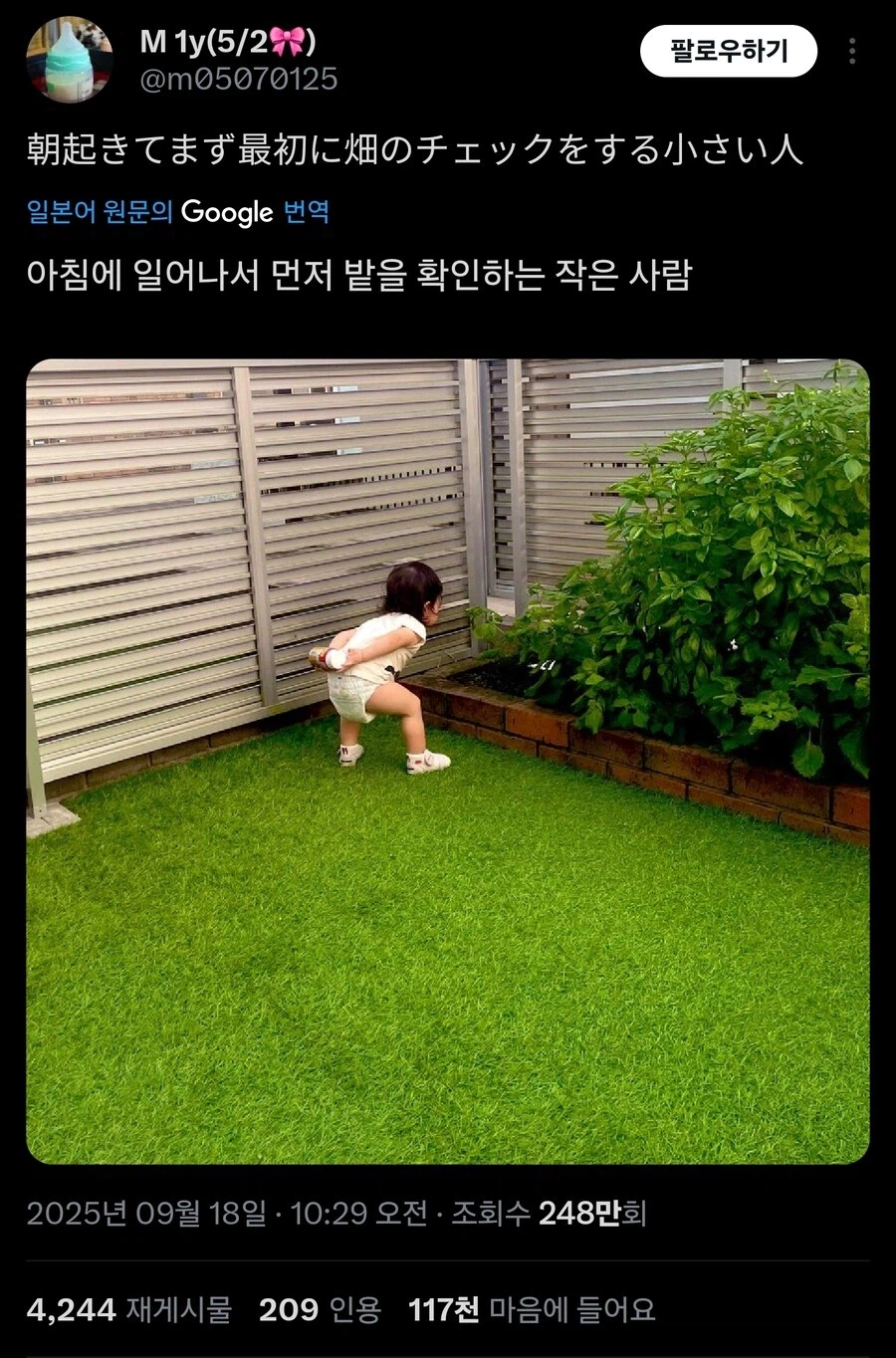 작은 사람의 모닝 루틴_1.webp