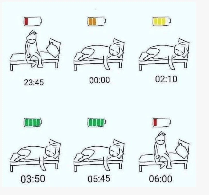 잘 때 몸이 회복하는 신비한 과정_1.webp