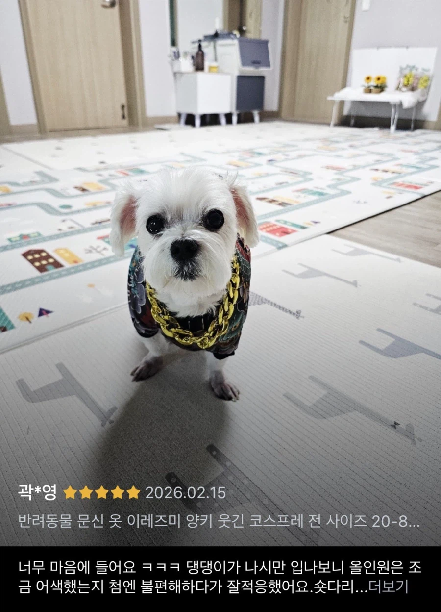 대환장의 강아지 옷 후기.jpg_4.webp
