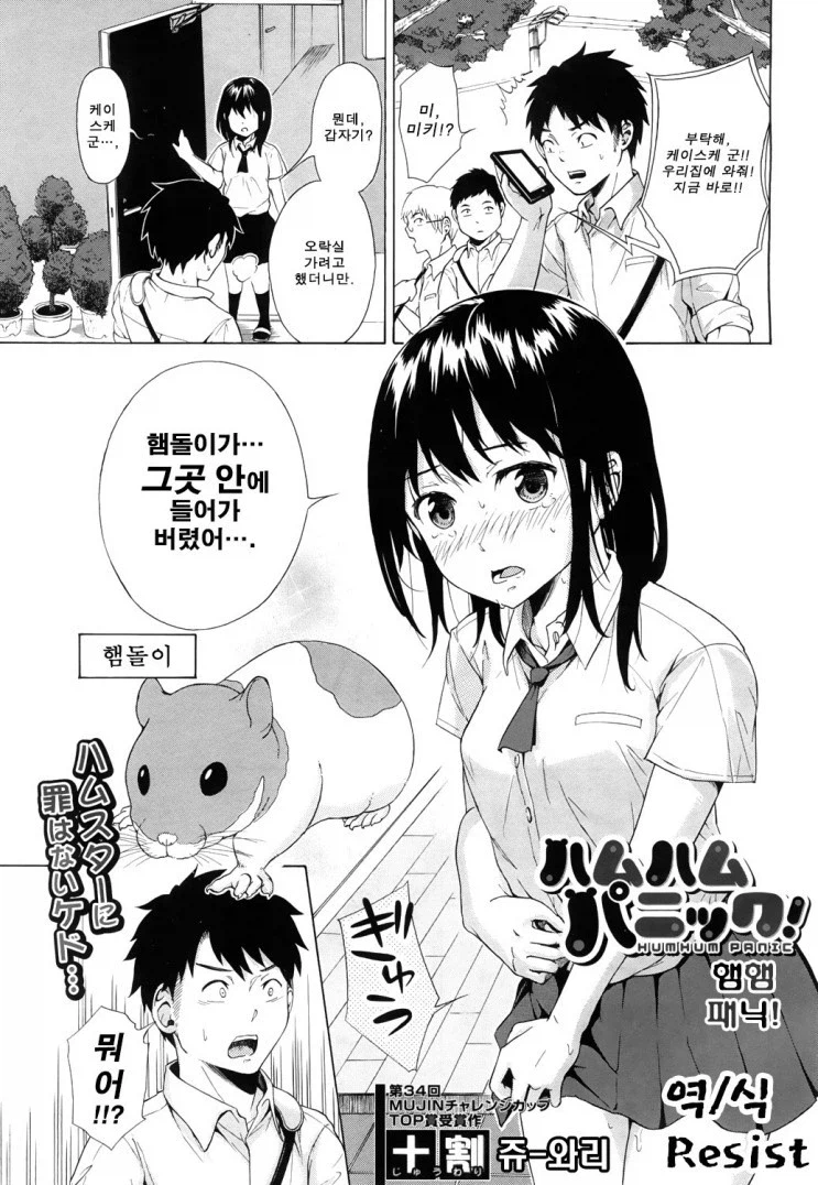 보햄 시가_1.webp