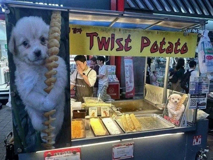 개죽이도 못참는 거_1.webp