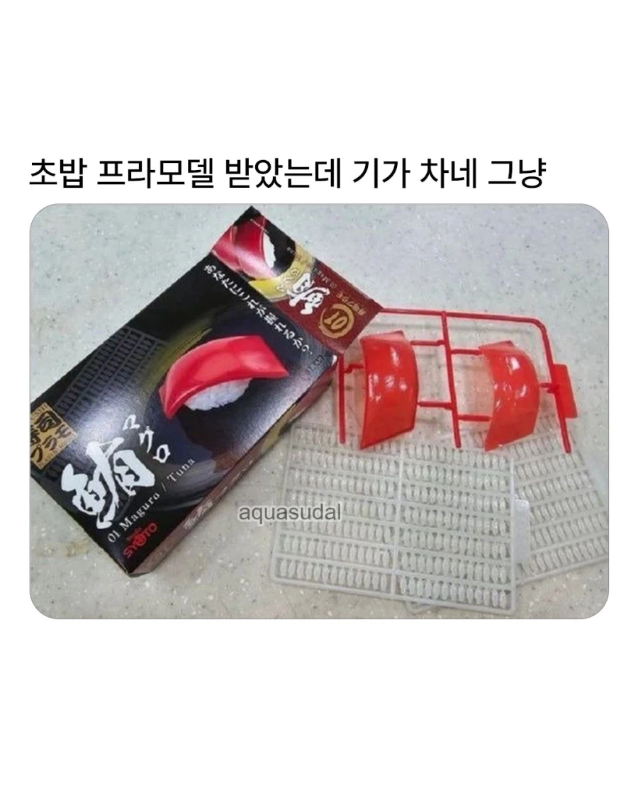은근 맞추기 빡세다는 일본 프라모델_1.webp