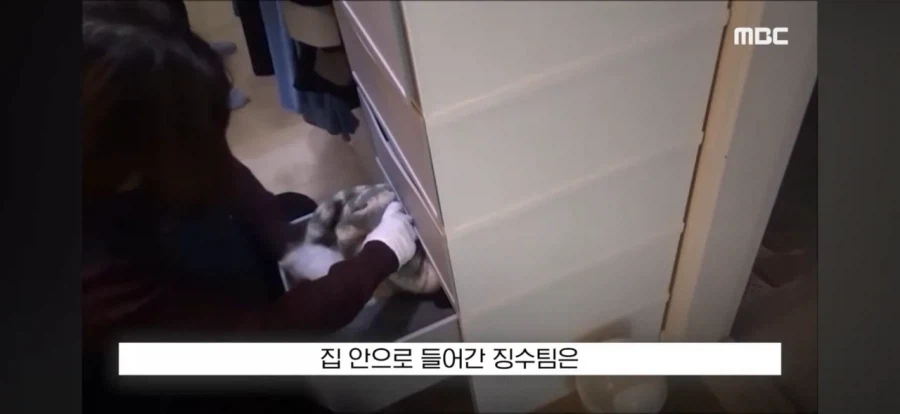 수십억 세금 체납한 가족의 몸부림_22.webp