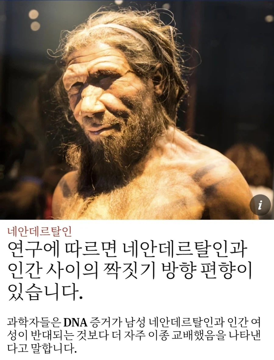 호모사피엔스가 네안테르탈인을 멸종시킨 이유_1.webp