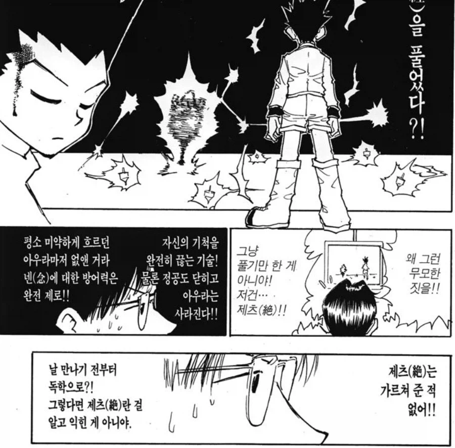 헌터헌터 ??? : 와 재능 쩐다 정석으로 가르쳐야지_2.webp