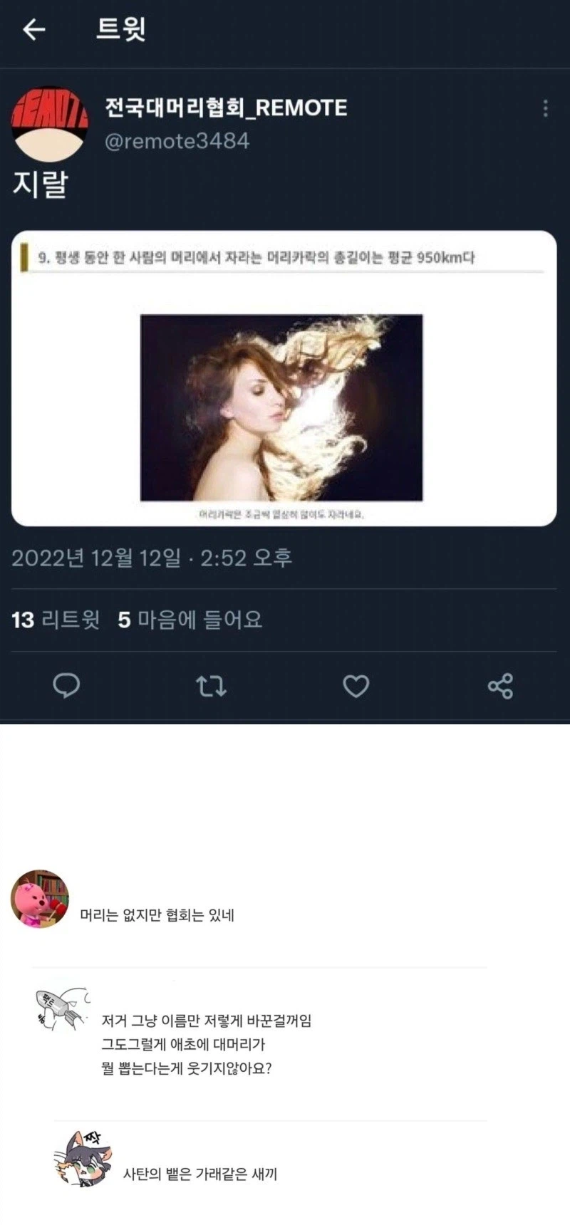 사람의 머리카락은 평생동안 950km까지 자란다._1.webp