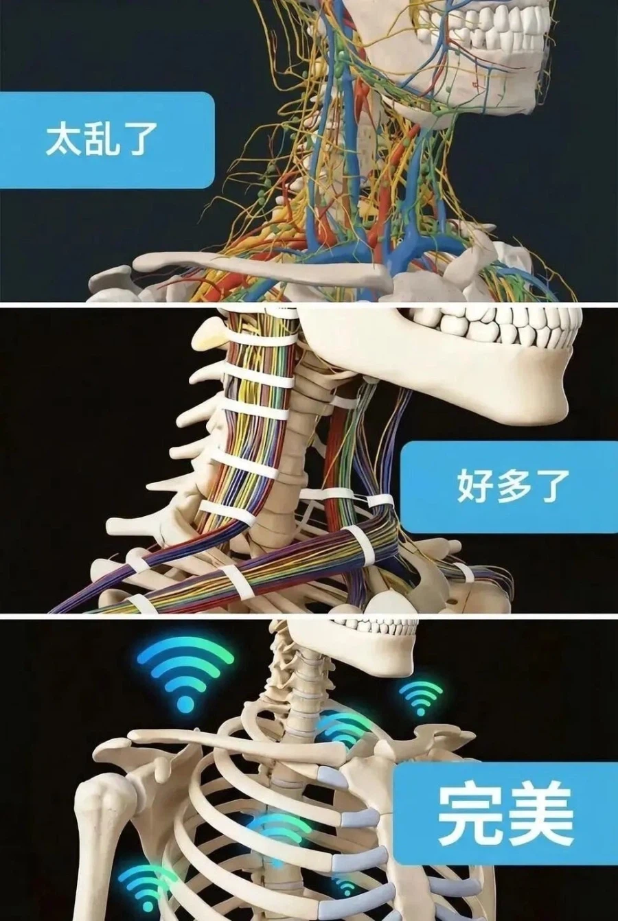 전선 정리_1.webp