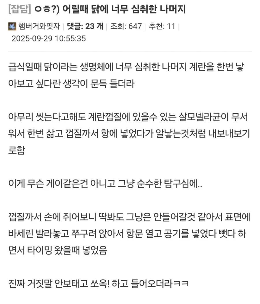 어릴때 닭에 너무 심취했던 디씨인_1.webp