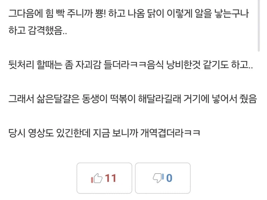 어릴때 닭에 너무 심취했던 디씨인_2.webp