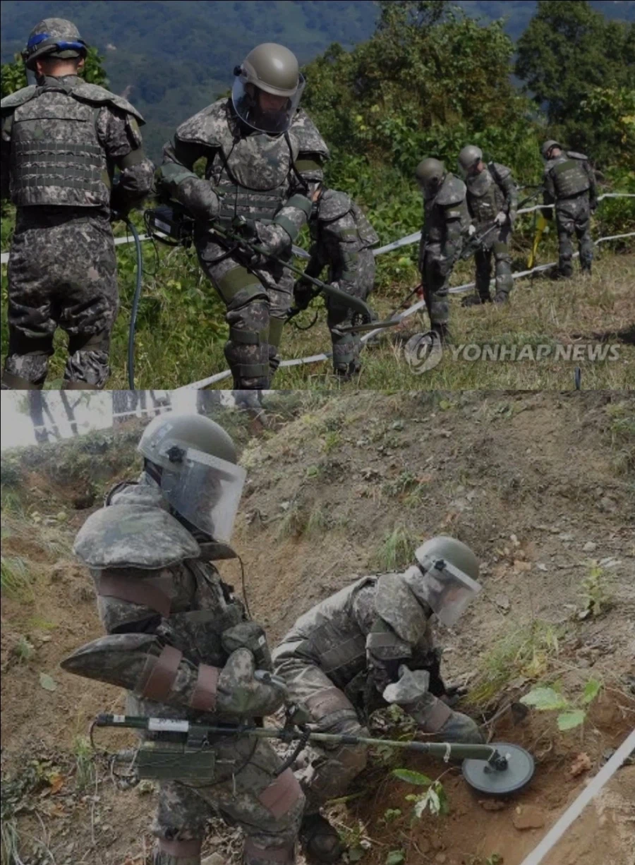 드디어 한국에 상륙한 지뢰계 패션_1.webp