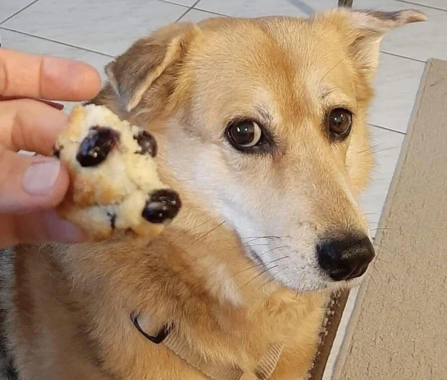 저주 받은 짤 모음_2.webp